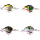 Vexan 4-Pack PHAT BOY 8 Crankbait Lures Purple/Yellow/Blue/Clear 8 ft Variety #3 PB 4-PK 8'