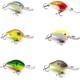 Vexan 6-Pack PHAT BOY 8 Crankbait Lures Purple/Orange/Yellow/White/Green 8 ft Variety #1 PB 6-PK 8'