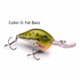 Vexan 8 in PHAT BOYs and Vern's Stoneroller Crankbait Lures Fat Bass 1/2 oz