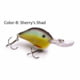 Vexan 8 in PHAT BOYs and Vern's Stoneroller Crankbait Lures Sherrys Shad 1/2 oz