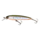Yo-Zuri 3DS Minnow Lure 100mm Holographic Tennessee Shad  HTS