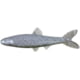 Yum Ned Minnow Bait 3in Gray Pearl Black Flk
