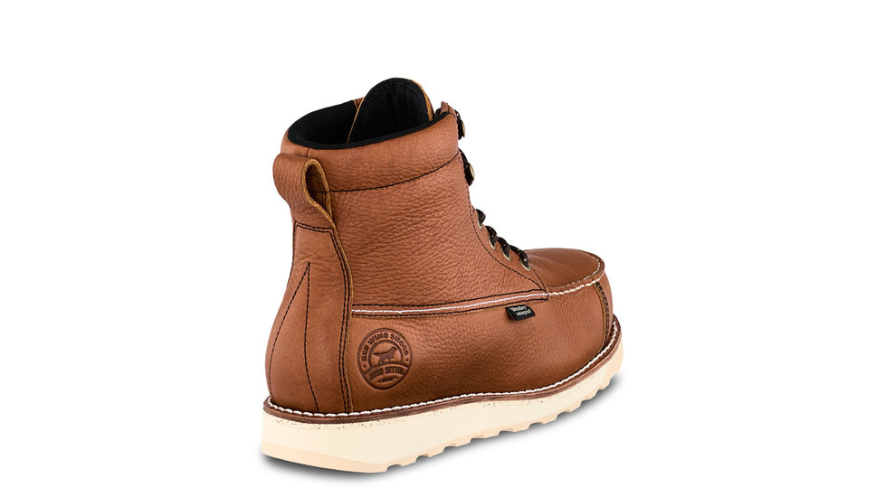 wingshooter st irish setter