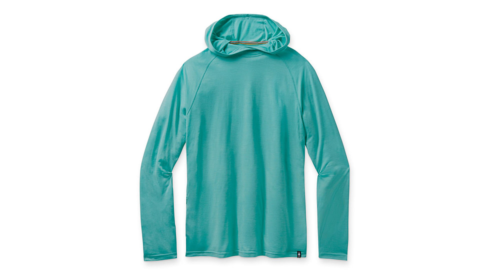 merino sport 150 hoodie