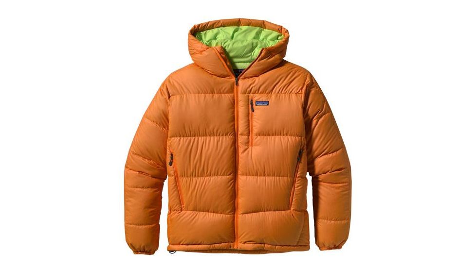 patagonia m's fitz roy down hoody