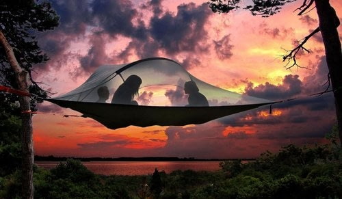 Hammock with Protective Cover