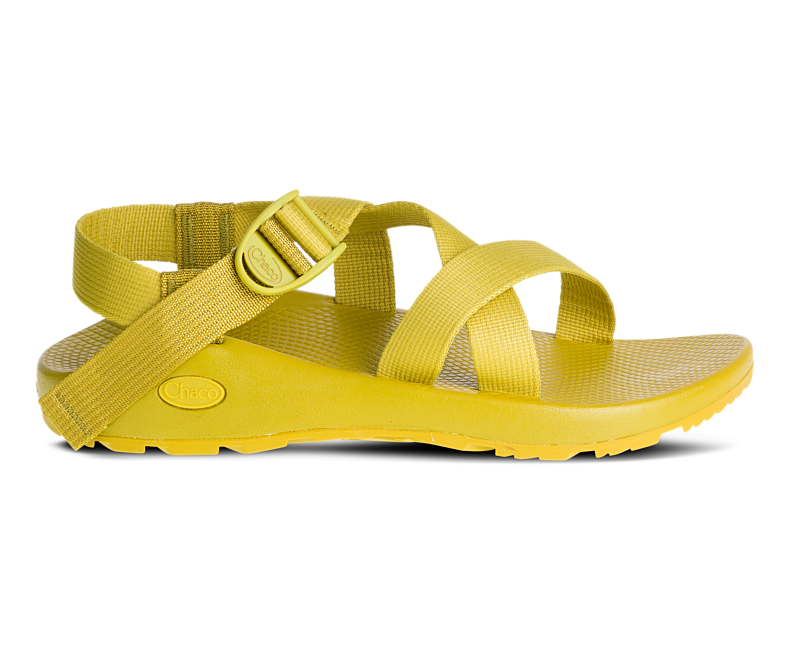 campsaver chacos