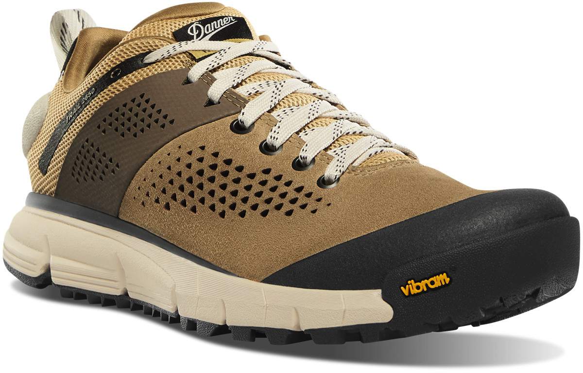 danner hiking shoes