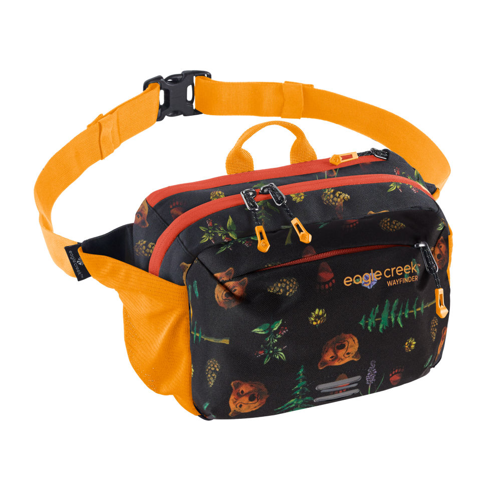 eagle creek wayfinder waist pack