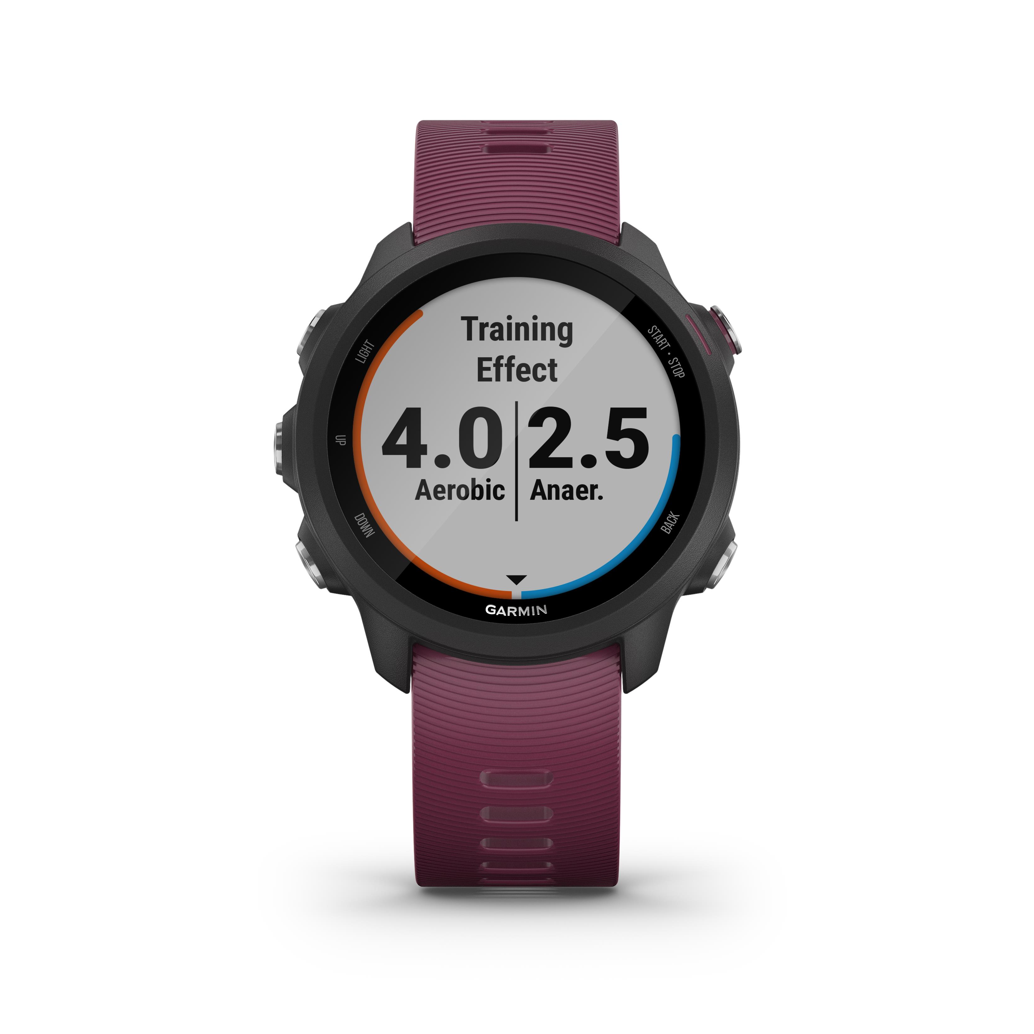 garmin watch forerunner 245