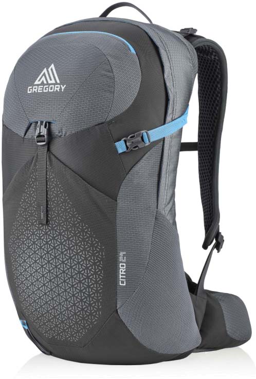 Gregory Citro 24L Daypack Men s