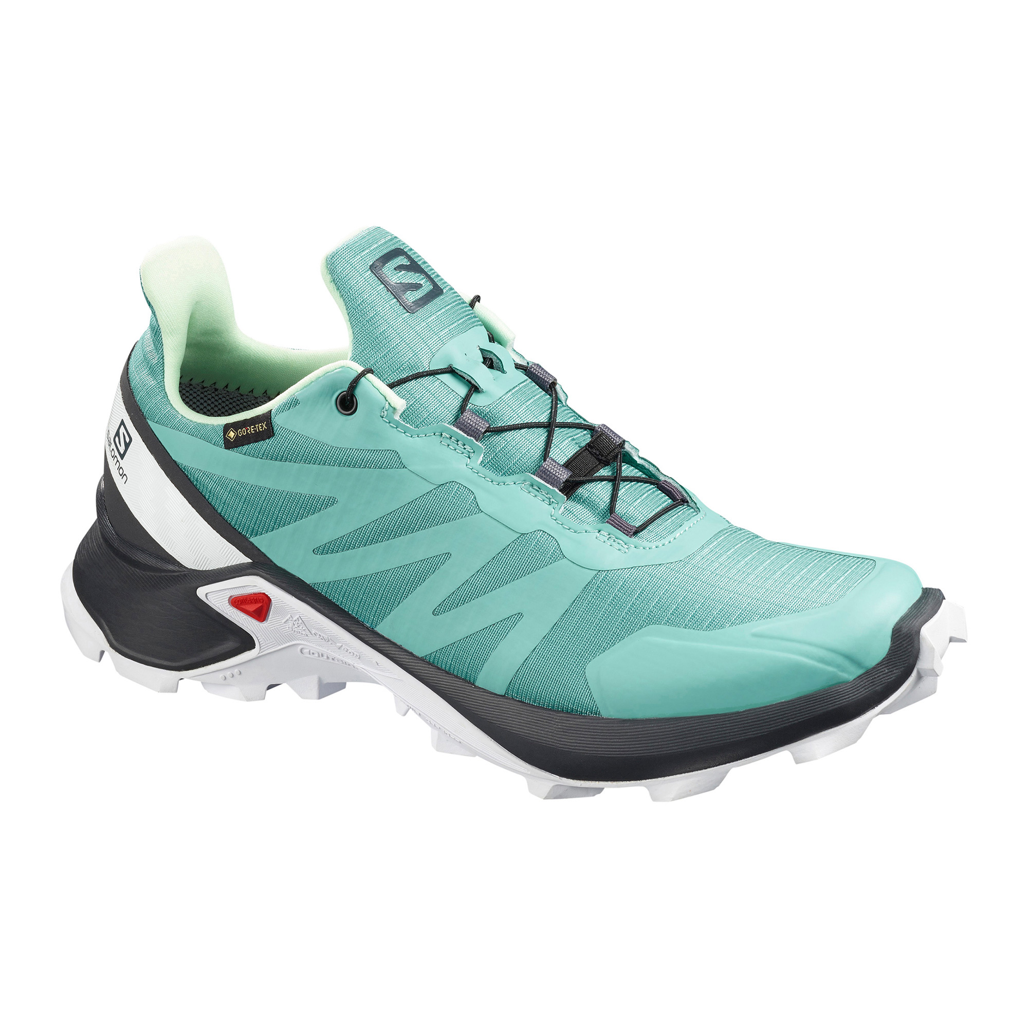 salomon gtx shoes women's