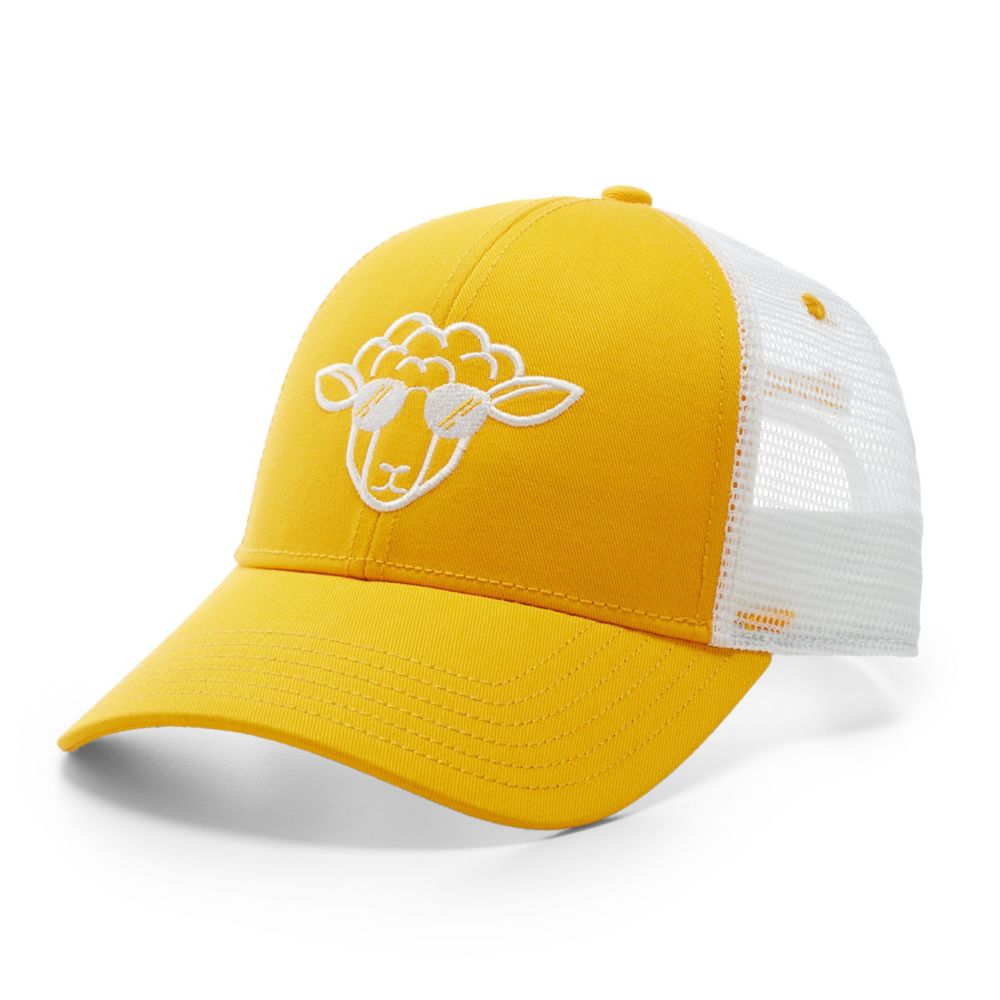 aviator trucker hat