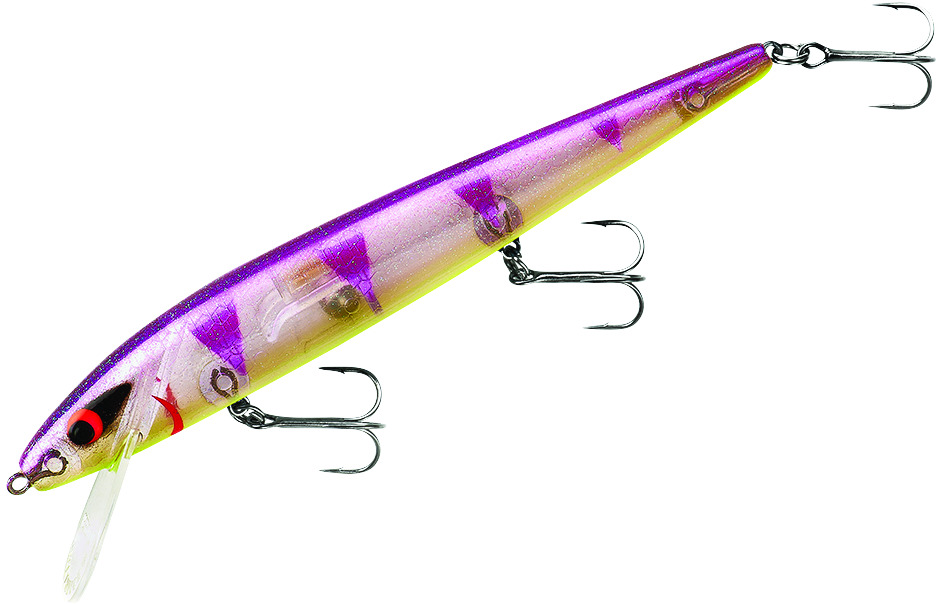 Smithwick Perfect 10 Rogue Jerkbait 5.5in , Up to 32% Off — CampSaver