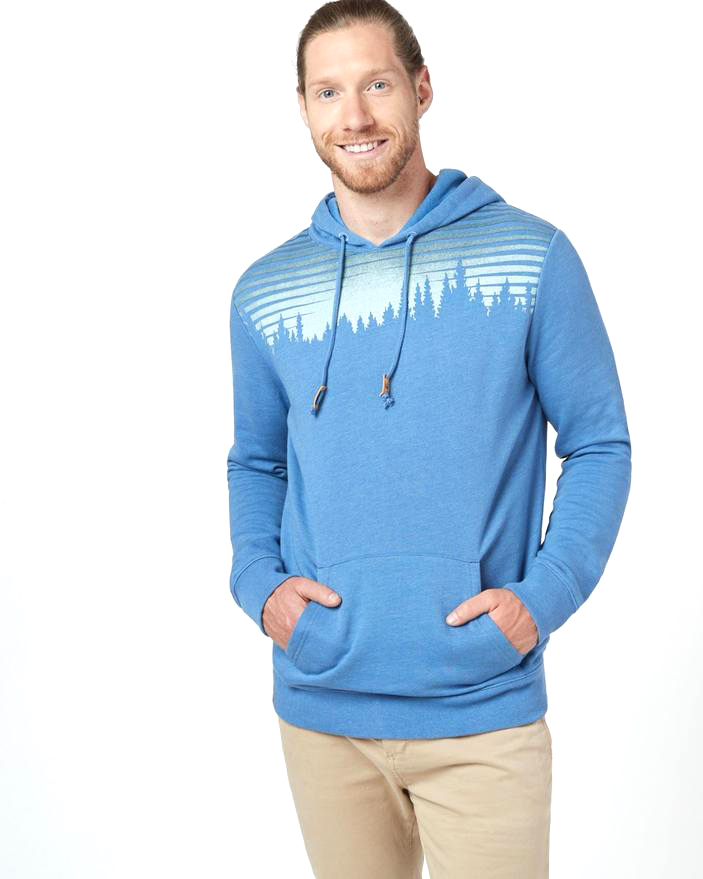 tentree juniper hoodie