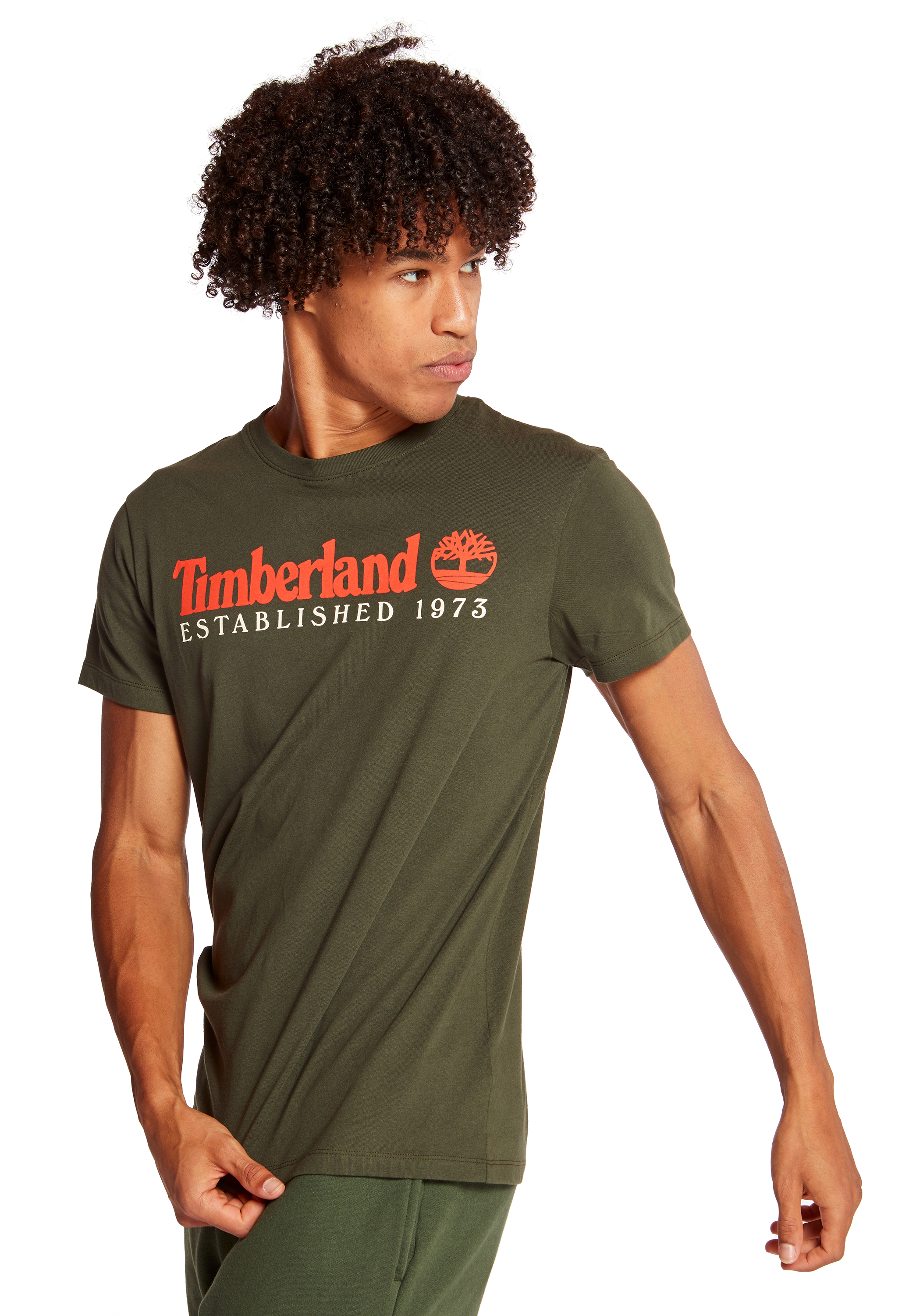 timberland tee