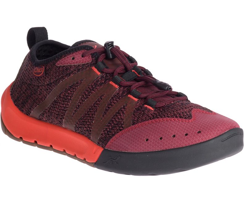 torrent pro chaco