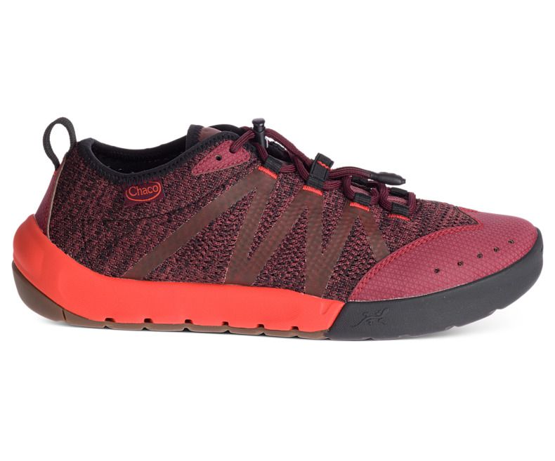 torrent pro chaco