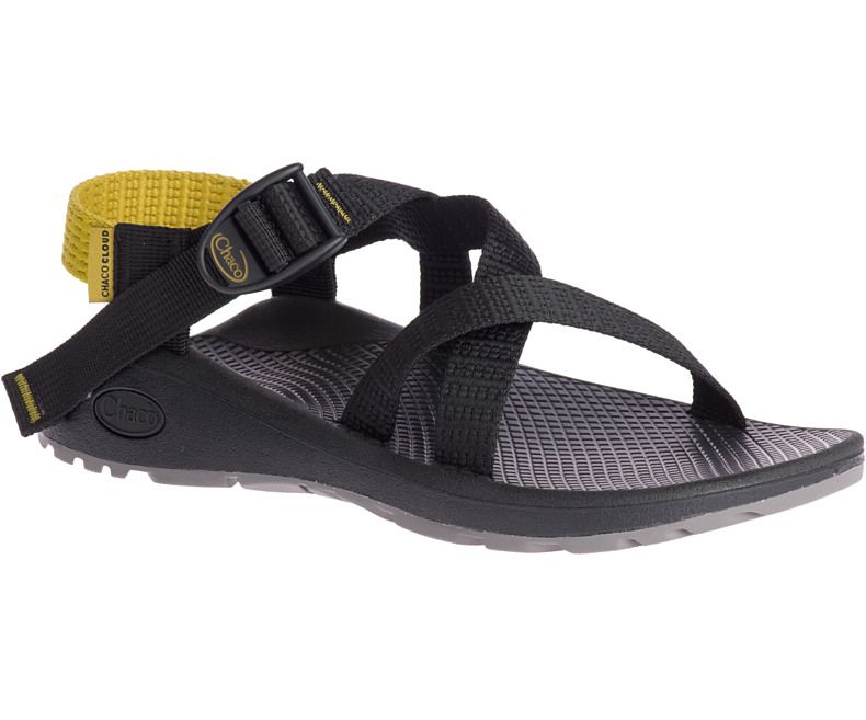 chaco women's zcloud 2 sport sandal
