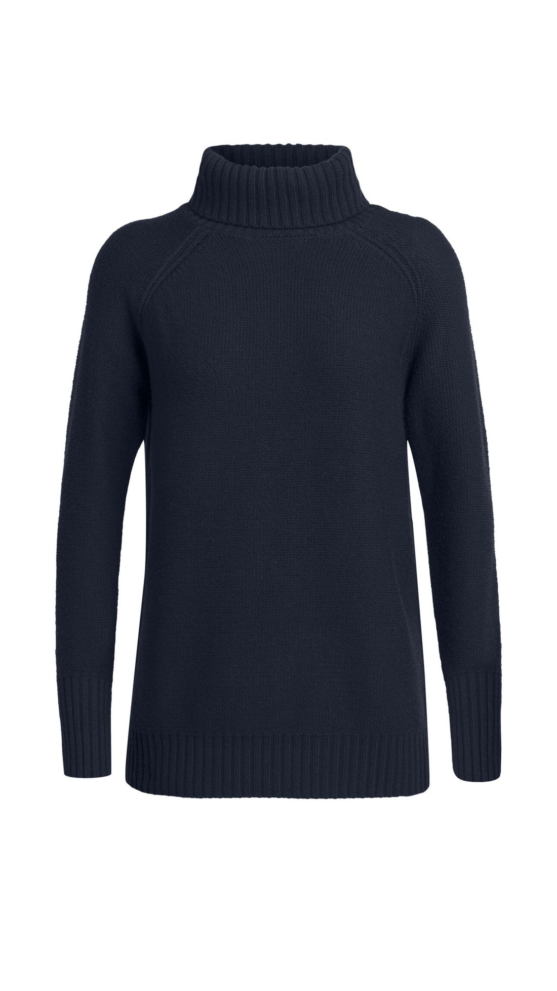 icebreaker roll neck
