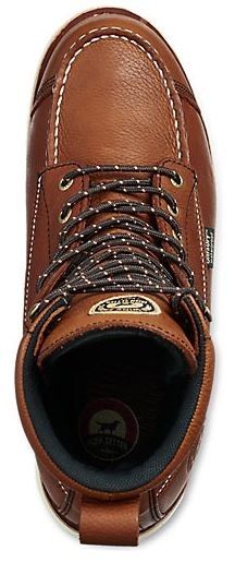 irish setter wingshooter 894