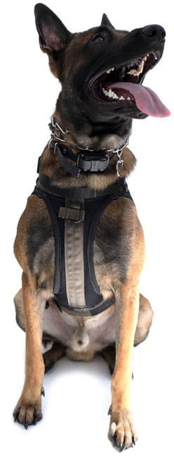 LBT Tactical K9 Harness with Free S&H — CampSaver