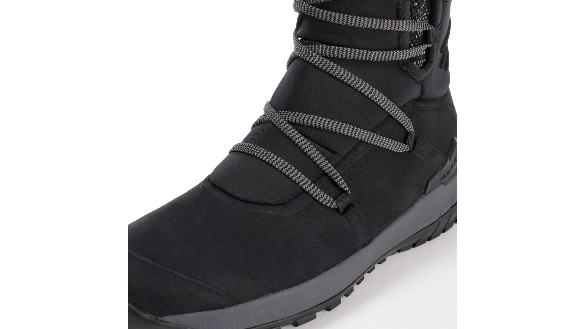mammut falera pro