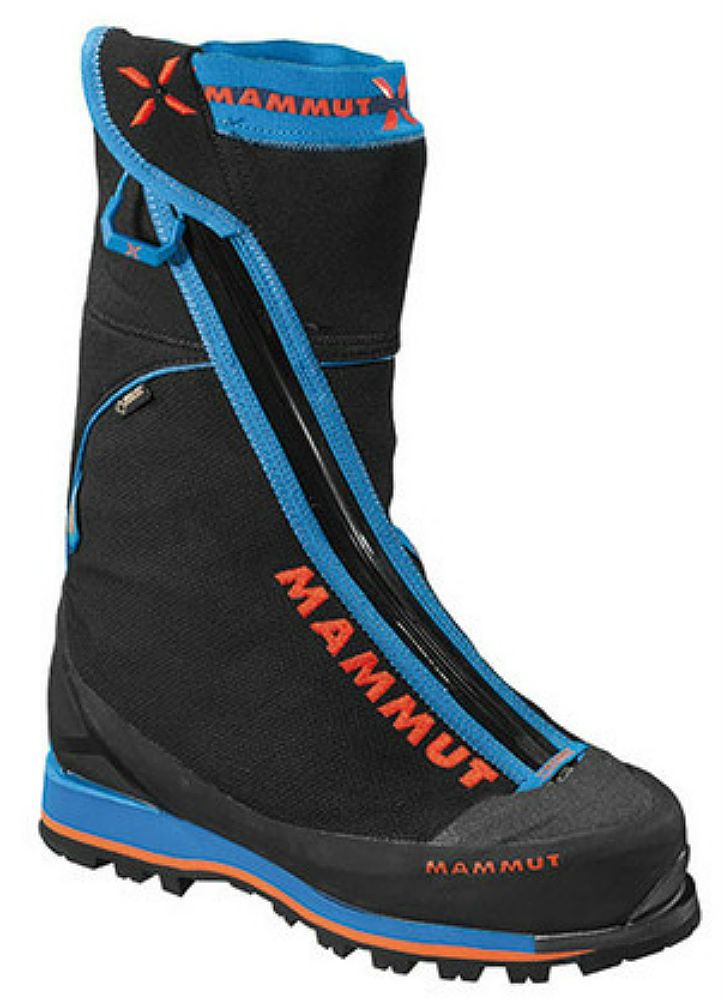 mammut falera pro