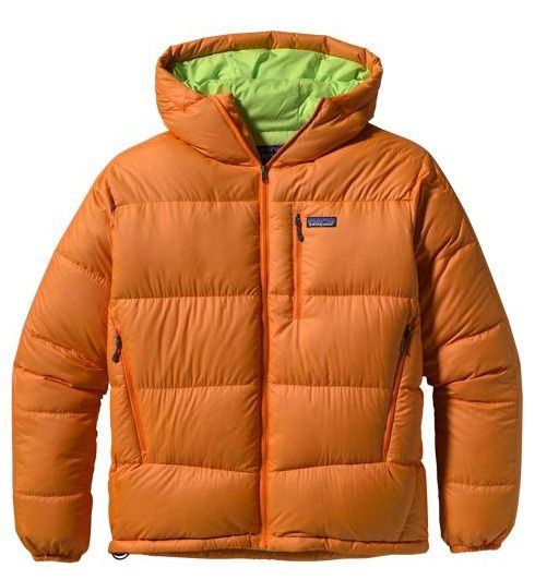 patagonia m's fitz roy down hoody