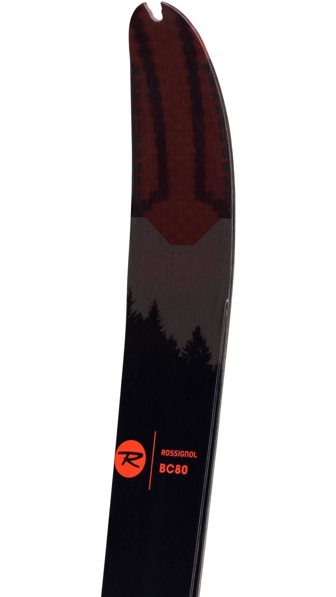 Rossignol Nordic Backcountry Unisex Skis BC 80 Positrack — CampSaver