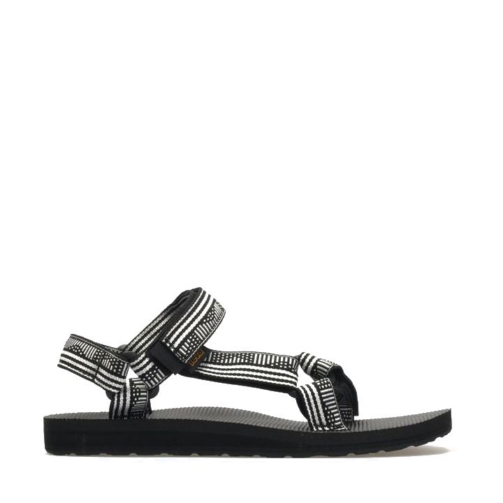 teva campo