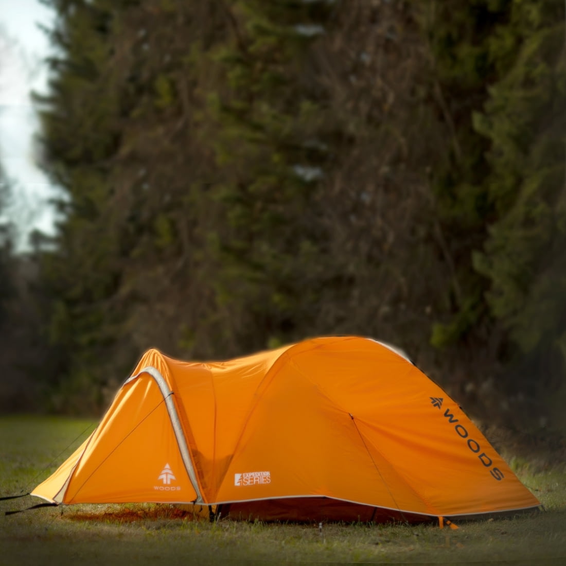 woods tent 4 person